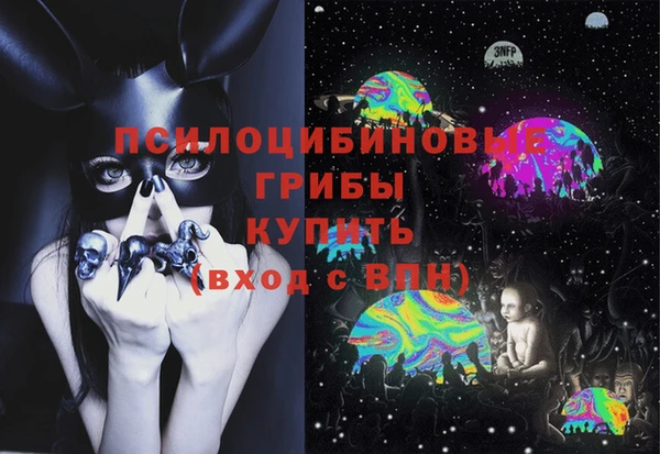 дмт Каменногорск