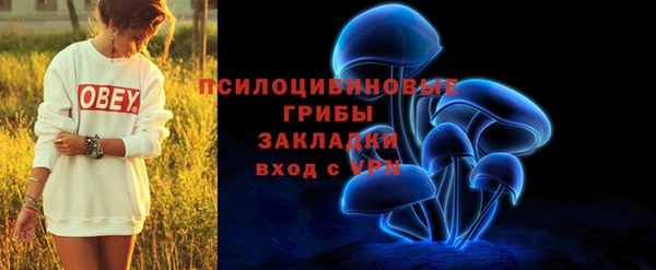 Альфа ПВП Каменка