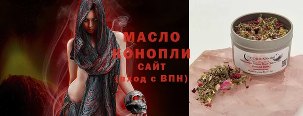 дмт Каменногорск