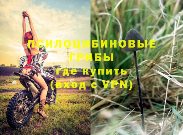 Альфа ПВП Каменка
