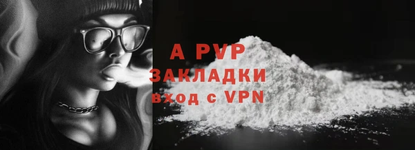 Альфа ПВП Каменка