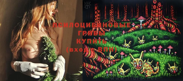 дмт Каменногорск