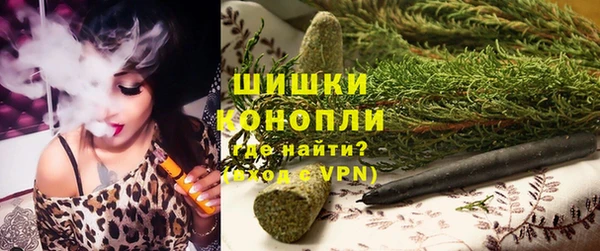 дмт Каменногорск