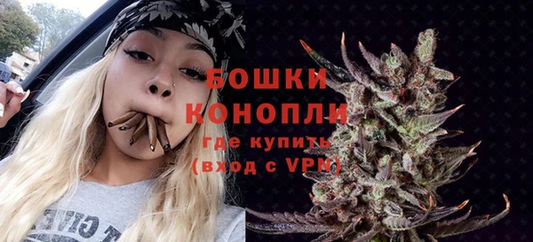 дмт Каменногорск