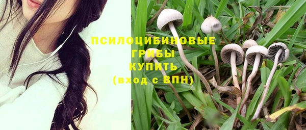 дмт Каменногорск