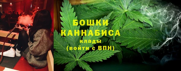 дмт Каменногорск