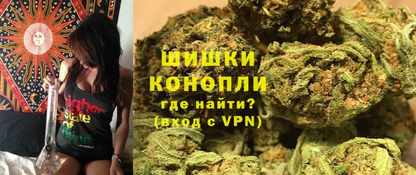 дмт Каменногорск