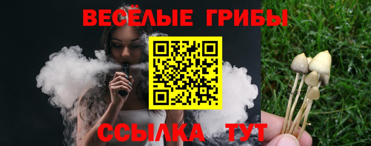 Галлюциногенные грибы GOLDEN TEACHER Кандалакша